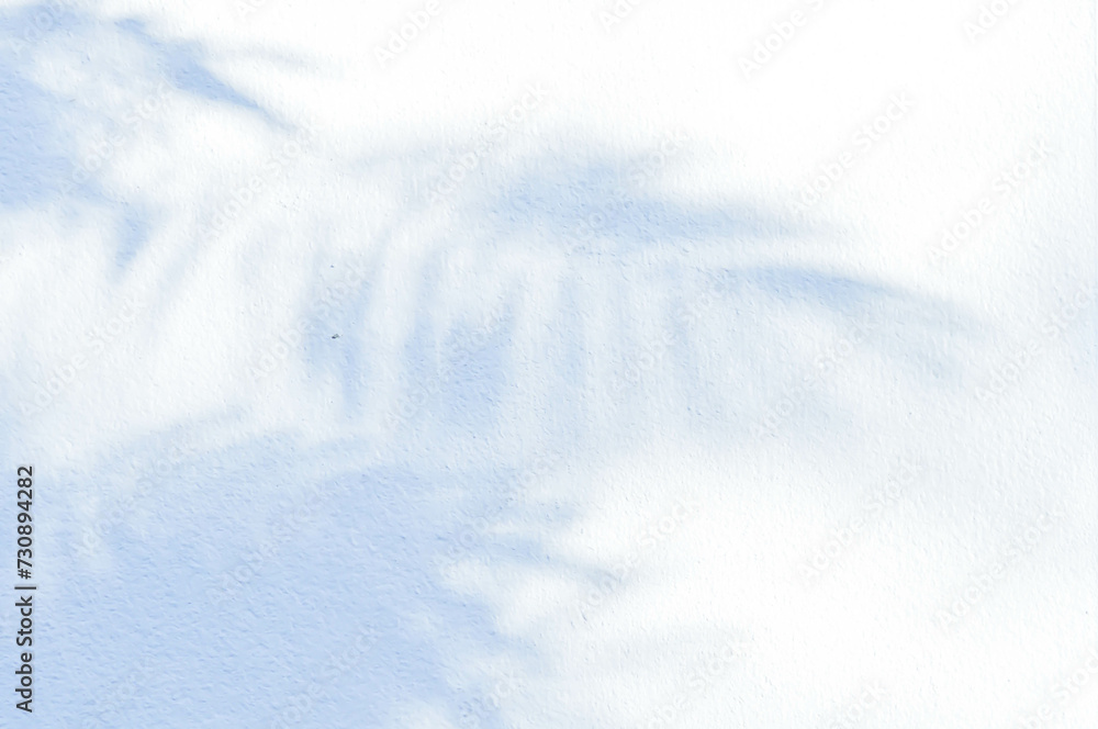 Obraz premium cement wall or white wall, white background or white wallpaper or white floor with tree shadow