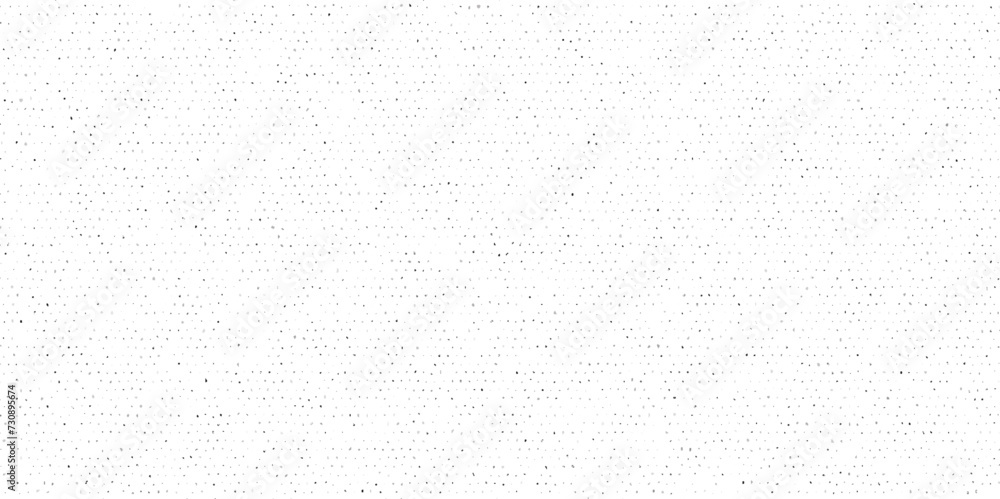White paper background texture terrazzo flooring texture polished stone pattern old marble. Surface of terrazzo floor texture abstract background.
White paper background texture terrazzo flooring texture polished stone pattern old marble. Surface of terrazzo floor texture abstract background.