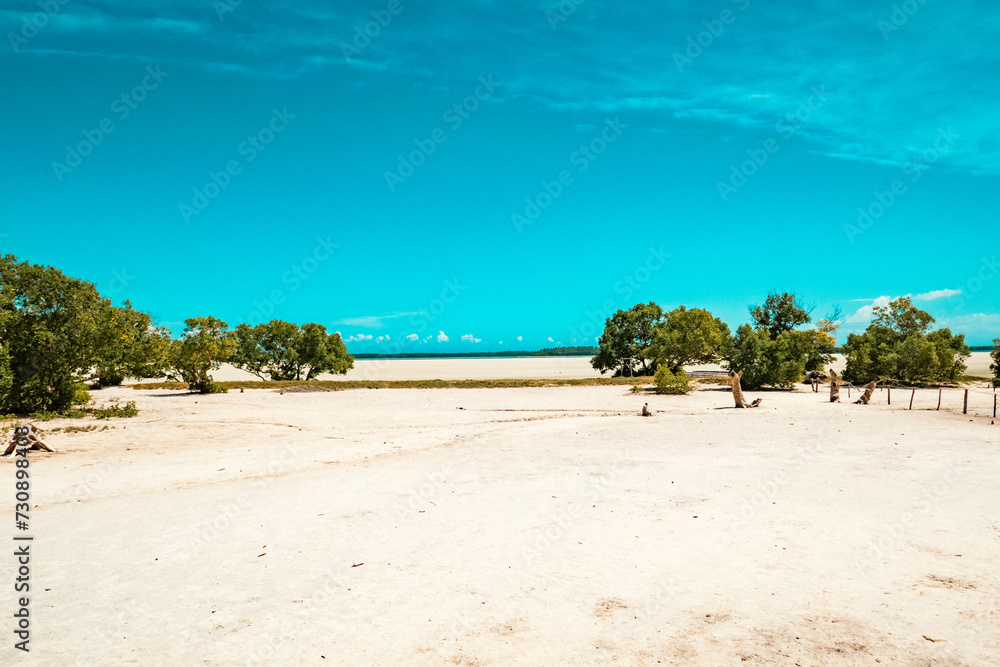 Scenic view of the sandy beach amidst mangrove forests of Mida Creek during the low tide in Watamu, Malindi, Kenya