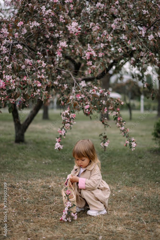 A little girl in a soft beige raincoat and trousers has sat down and straightens a twig of an apple tree in a basket with her hand. Against the background of a branch of a blooming apple tree. Spring A little girl in a soft beige raincoat and trousers has sat down and straightens a twig of an apple tree in a basket with her hand. Against the background of a branch of a blooming apple tree. Spring