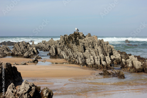 praia rochosa photo