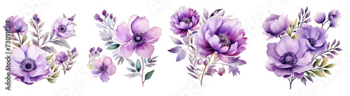 lavender flowers PNG set