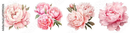 Pink Roses Set , Roses bouquet, Printable Watercolor PNG