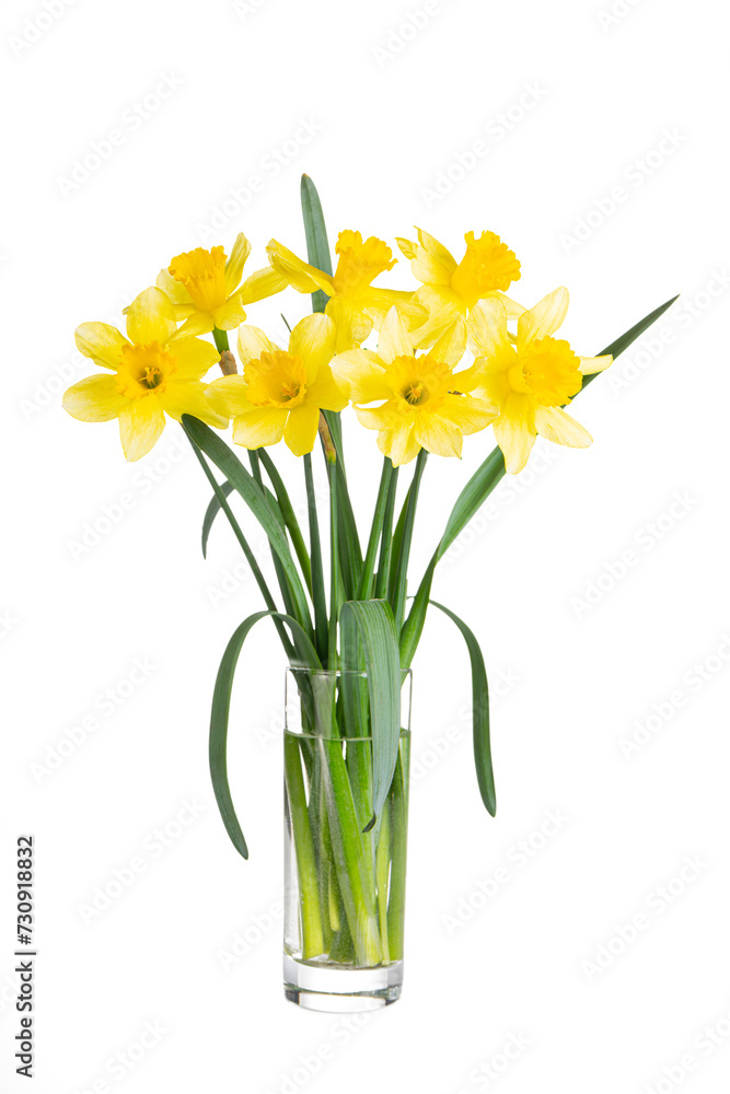 Beautiful bouquet of yellow daffodils or narcissus in transparent glass vase isolated on white background. Blooming spring flowers, Easter bells. Spring greeting card, invitation card for holiday Beautiful bouquet of yellow daffodils or narcissus in transparent glass vase isolated on white background. Blooming spring flowers, Easter bells. Spring greeting card, invitation card for holiday