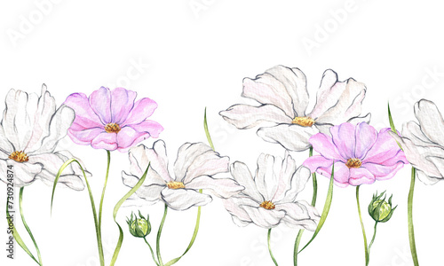 Watercolor seamless border with flowers and greenery. White and pink daisies  wildflowers. Botanical pattern for the design and decoration of textiles  stationery  ceramics.