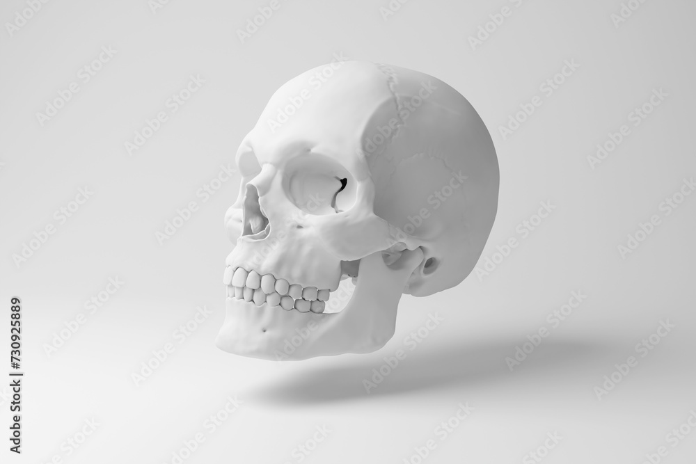 Obraz premium White human skull floating in mid air on white background in monochrome and minimalism. Illustration of the concept of anatomy, biology and archaeology