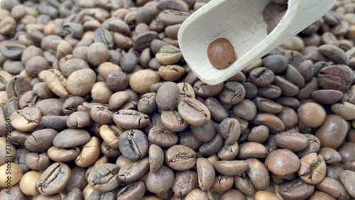 Close-up of fresh coffee beans falling into a pile from a wooden spoon. Slow motion. Making coffee, the barista prepares coffee from beans.