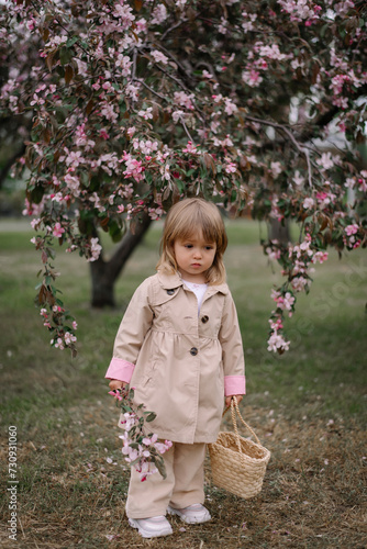 A little girl, a child in a beige raincoat and trousers walks along a green lawn in a garden of blooming apple trees. Spring