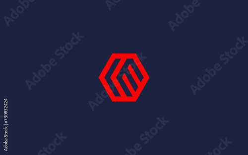 letter lm with hexagon logo icon design vector design template inspiration