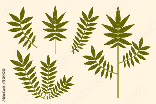 Green leaves vector set. Modern flat palm branches with leaves drawn with brush texture on pastel background. Abstract tropical greenery illustration. Stylized floral drawing for cards, decoration