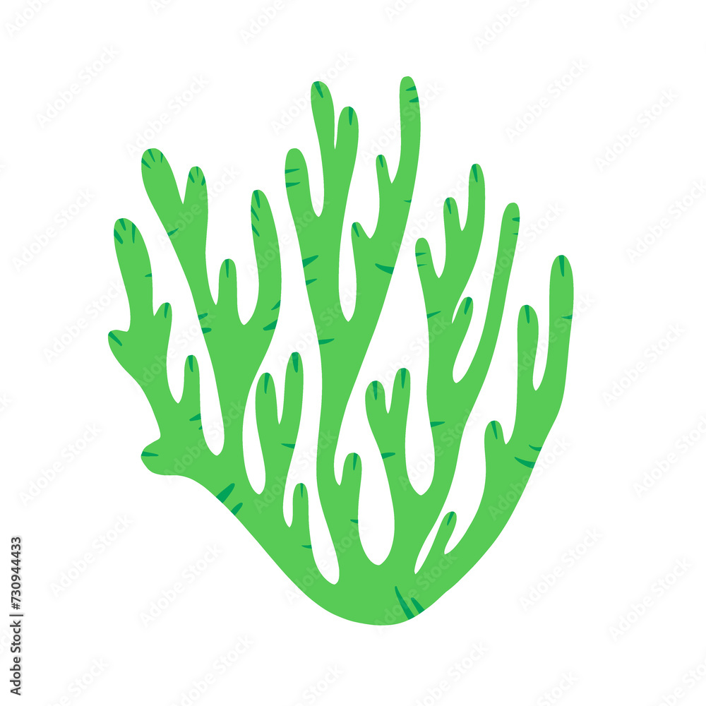 Coral Coral