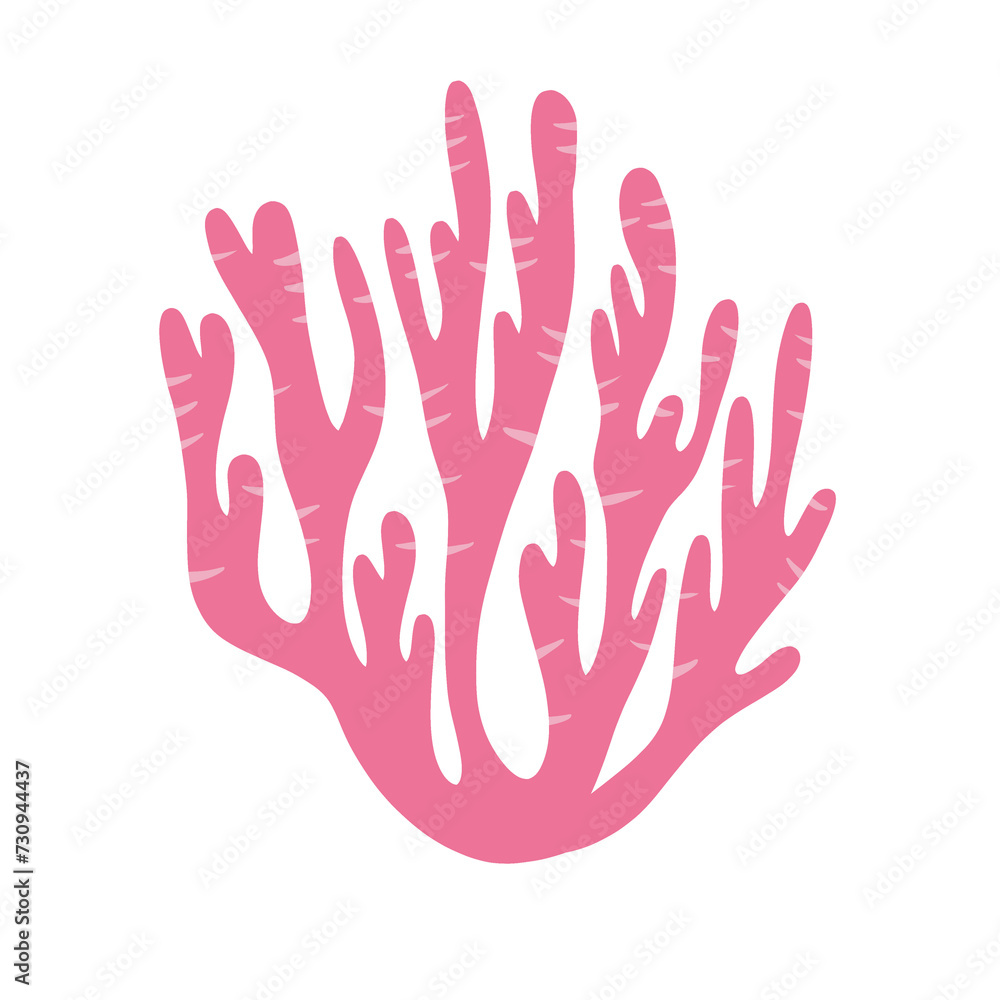 Fototapeta premium Coral
