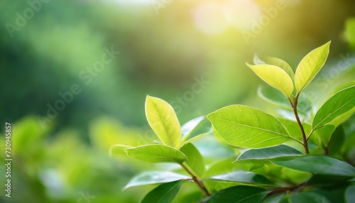 background of nature green leaf in garden at summer using as spring background cover page environment ecology or greenery wallpaper generative ai