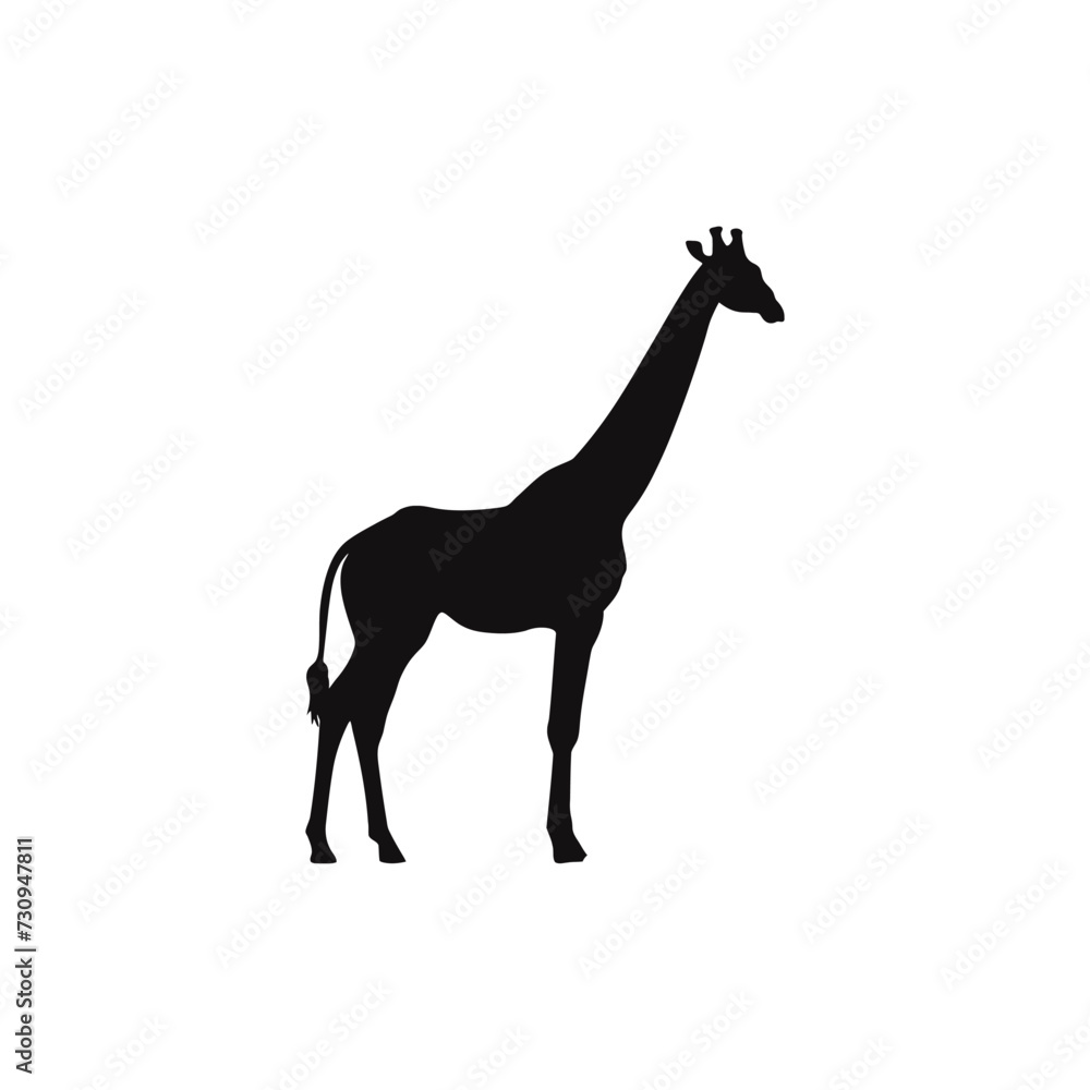Giraffe vector silhouette Giraffe vector silhouette