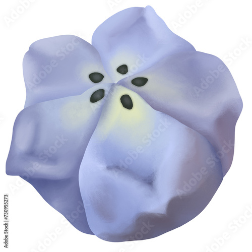 Obraz na plátně Wagashi