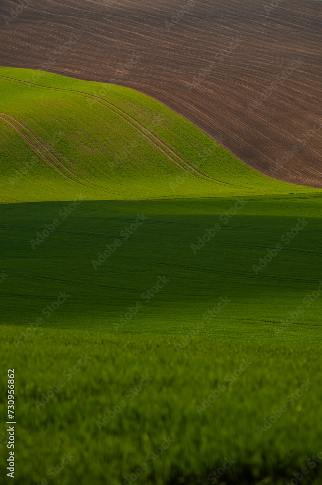 Obraz premium Scenic view of rolling fields near Kyjov at sunrise, Hodonin District, South Moravian Region, Moravia, Czech Republic 