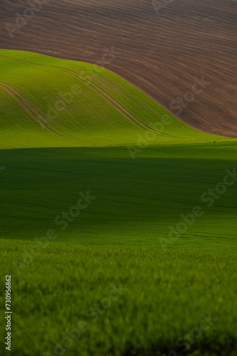 Scenic view of rolling fields near Kyjov at sunrise, Hodonin District, South Moravian Region, Moravia, Czech Republic 