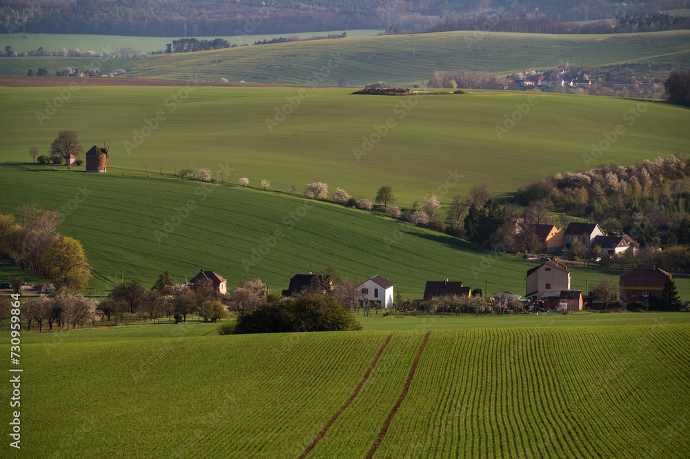 Spring rural landscape with  and village at background. Grape vineyards of South Moravia in Czech Republic. 
