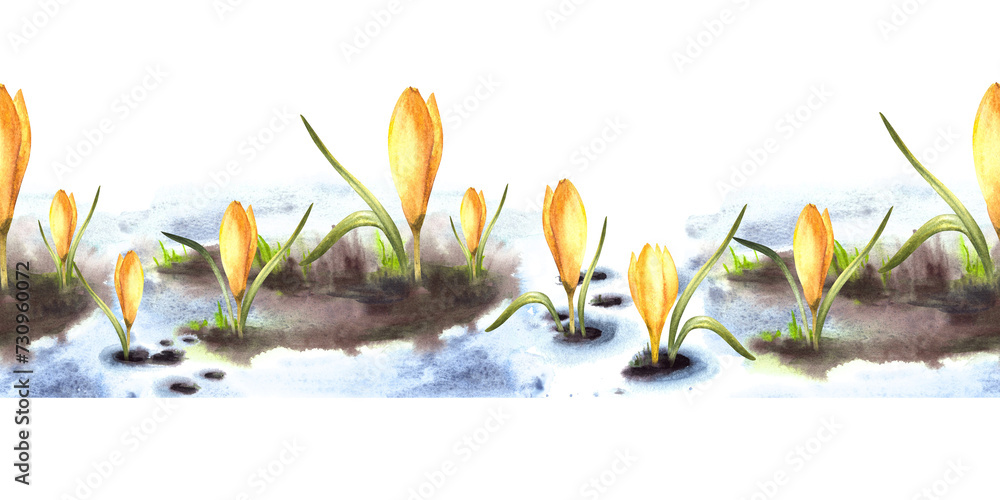 Watercolor painted illustration seamless pattern, border. Spring, the awakening of nature. Melting snow primary plants yellow crocuses. Flowers sprouting through the snow Isolated white background