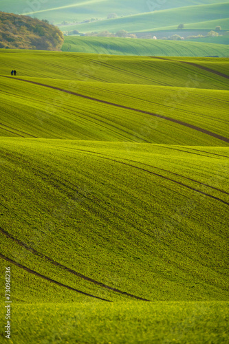 Wavy Fields of South Moravian, Moravia, South Moravia, Czech republic  © dvv1989