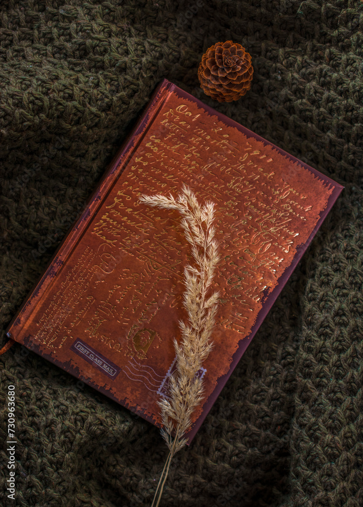 Fototapeta premium Old book, dried flowers, cones. Gloomy interior. Gothic accessories.