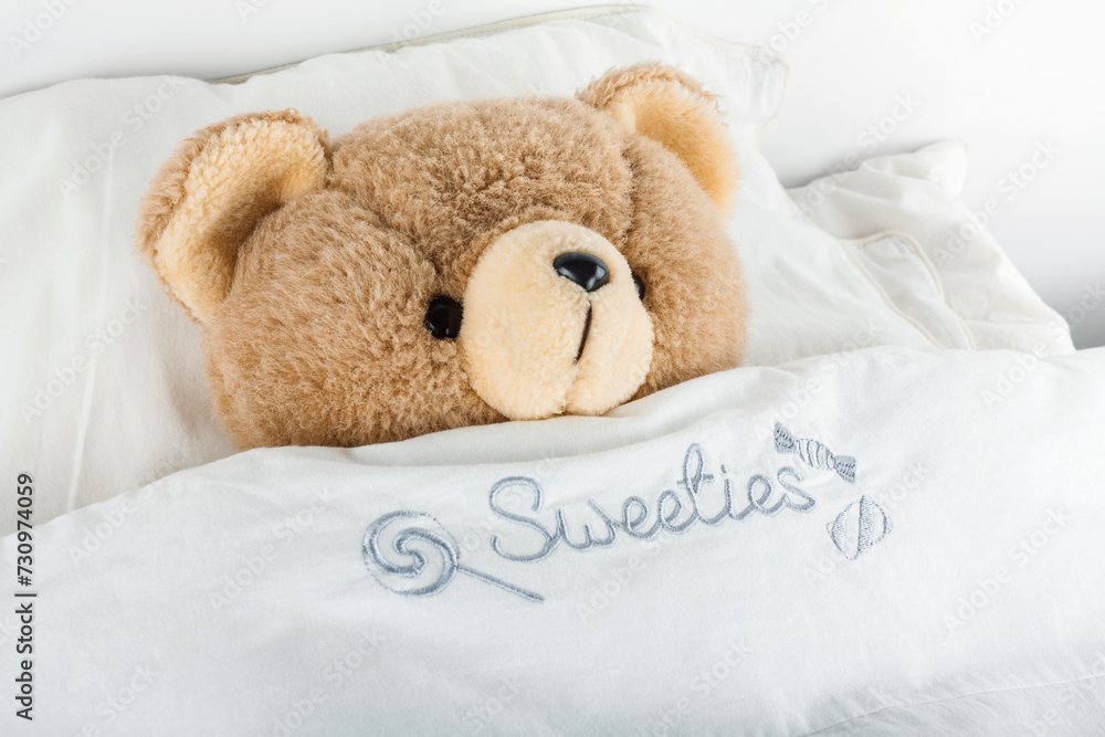 Teddy Bear sleeps in bed under a soft blanket