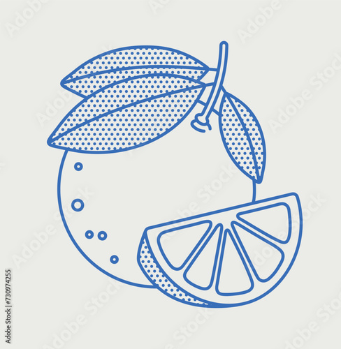 Orange with a slice of orange. Line art, retro. Plants and herbs for cosmetics.