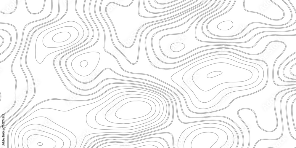 Abstract topographic Contour Map Subtle White Vector Background . Blank Detailed topographic patter line map background .Topographic Map Of wild west Abstract Vector Background.	