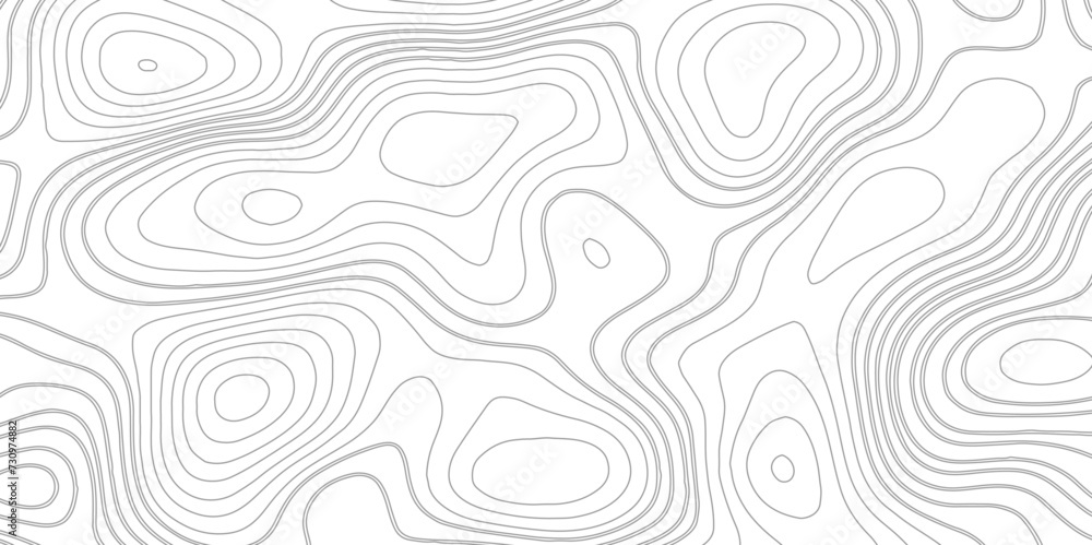 Abstract topographic Contour Map Subtle White Vector Background . Blank Detailed topographic patter line map background .Topographic Map Of wild west Abstract Vector Background.	