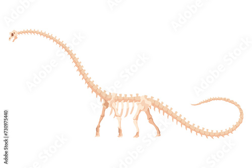 Dinosaur skeleton. Dino monsters icon. Shape of real animal. Sketch of prehistoric reptiles. illustration isolated on white. Hand drawn sketch