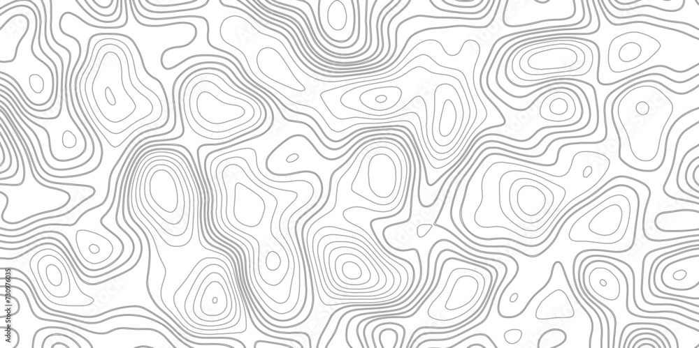 Abstract topographic Contour Map Subtle White Vector Background . Blank Detailed topographic patter line map background .Topographic Map Of wild west Abstract Vector Background. Abstract topographic Contour Map Subtle White Vector Background . Blank Detailed topographic patter line map background .Topographic Map Of wild west Abstract Vector Background.