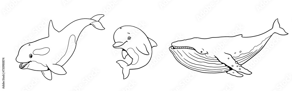 Cute orca, whale and dolphin to color in. Template for a coloring book with funny animals. Coloring template for kids.	