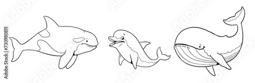 Cute orca, whale and dolphin to color in. Template for a coloring book with funny animals. Coloring template for kids.	 photo