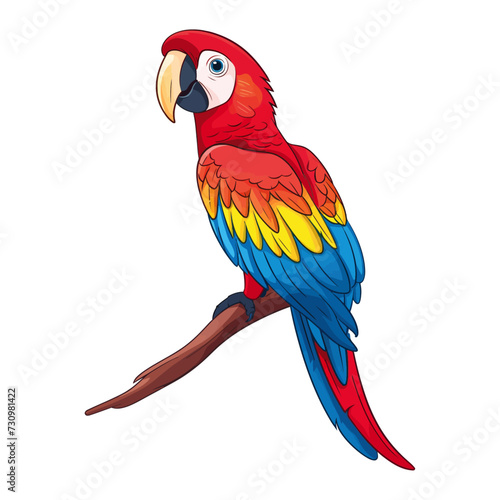 Colorful Macaw Parrot, vector Illustration