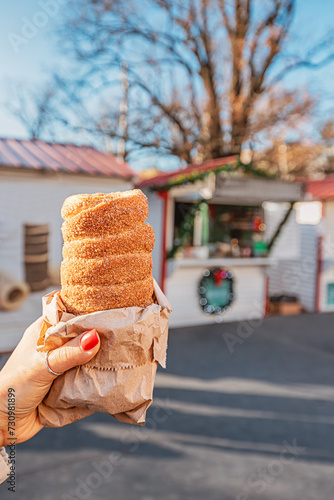 biting into a warm trdelnik, its crispy exterior giving way to a soft, doughy center infused with hints of cinnamon and sugar.