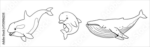 Cute orca, whale and dolphin to color in. Vector template for a coloring book with funny animals. Coloring template for kids.	

