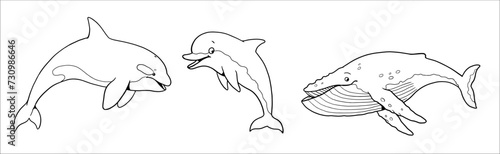 Cute orca, whale and dolphin to color in. Vector template for a coloring book with funny animals. Coloring template for kids.	