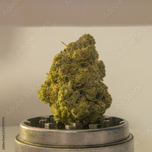 Intense Close-Up: Sourdough Indica Hybrid Dried Cannabis Bud, Bursting with Amber Trichomes, Vibrant Orange Pistils, and Lush Green Hues. Striking Hybrid Strain