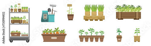 Garden Potted Plants and Green Seedling Vector Set
