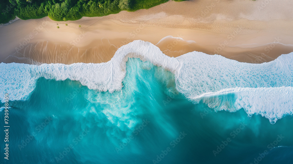 Aerial View of a Beach and Ocean