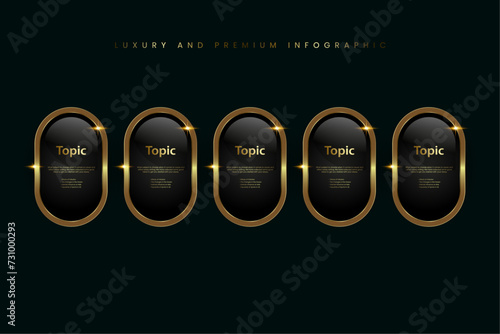 Set of Five Luxury, Gold shiny button, metallic golden infographic, vector icon on Dark, plate button of ellipse shape with golden frame vector illustration photo