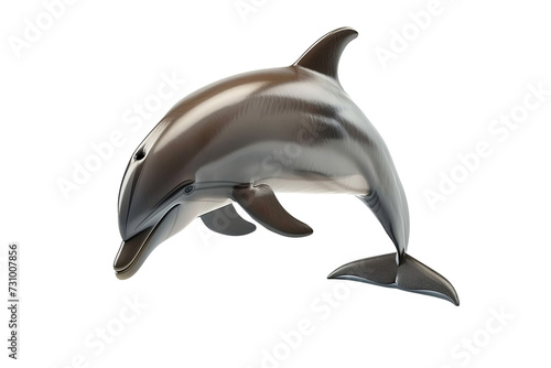 Dolphin on isolated background