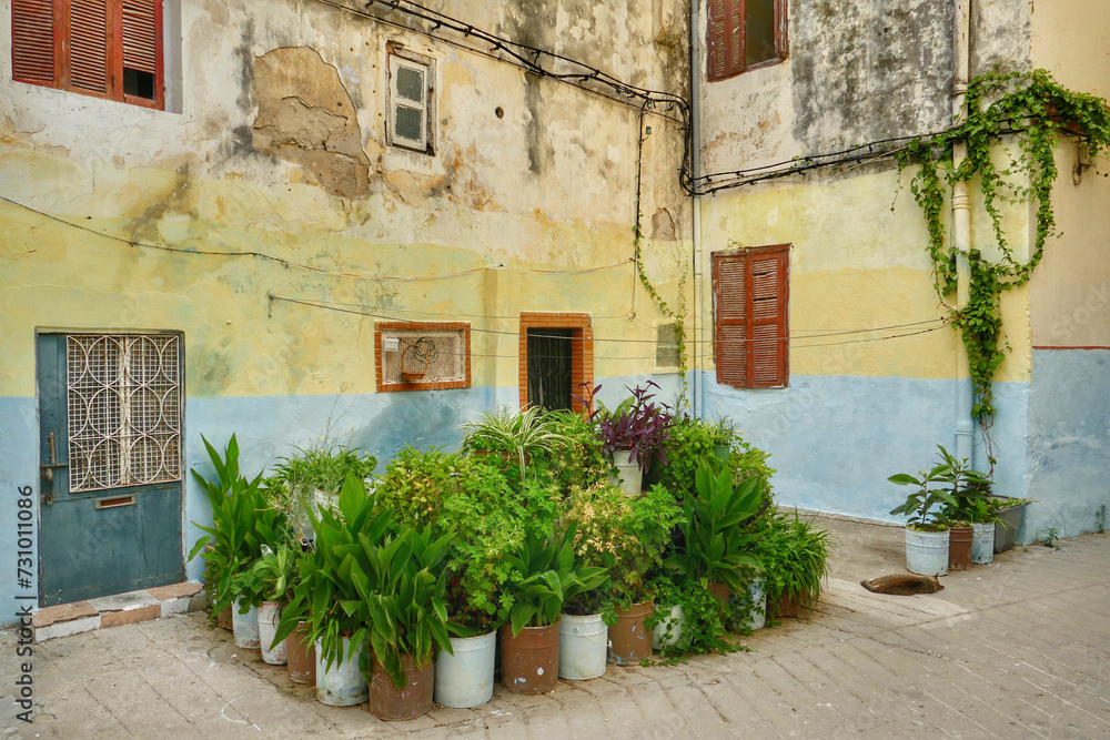 Traditional houses in the Kasbah of Tangier, Morocco