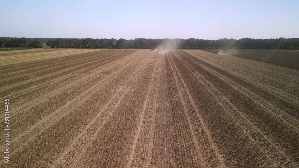Combine harvesting sunflower on the field Combine harvesting sunflower on the field