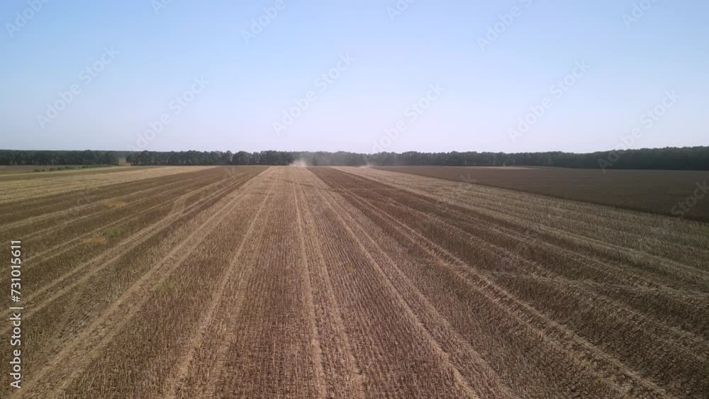 Combine harvesting sunflower on the field Combine harvesting sunflower on the field