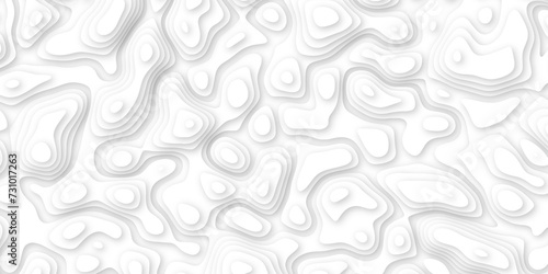 3d render, abstract white paper background. Paper cut vector art background banner texture. multi layer cutout geometric pattern on vector, Abstract soft white background with waves.