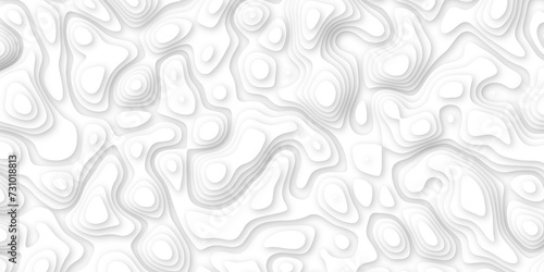 3d render, abstract white paper background. Paper cut vector art background banner texture. multi layer cutout geometric pattern on vector, Abstract soft white background with waves.