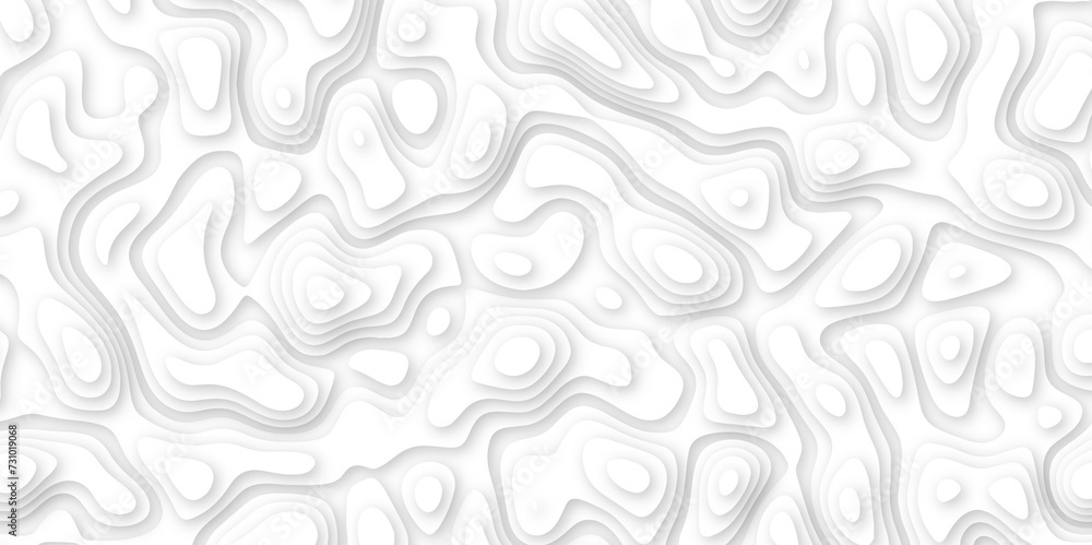 3d render, abstract white paper background. Paper cut vector art background banner texture. multi layer cutout geometric pattern on vector, Abstract soft white background with waves. 3d render, abstract white paper background. Paper cut vector art background banner texture. multi layer cutout geometric pattern on vector, Abstract soft white background with waves.