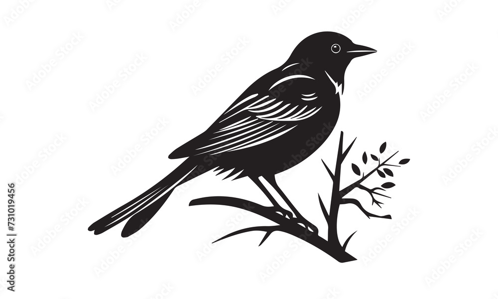 Obraz premium bird silhouette Vector elements for design