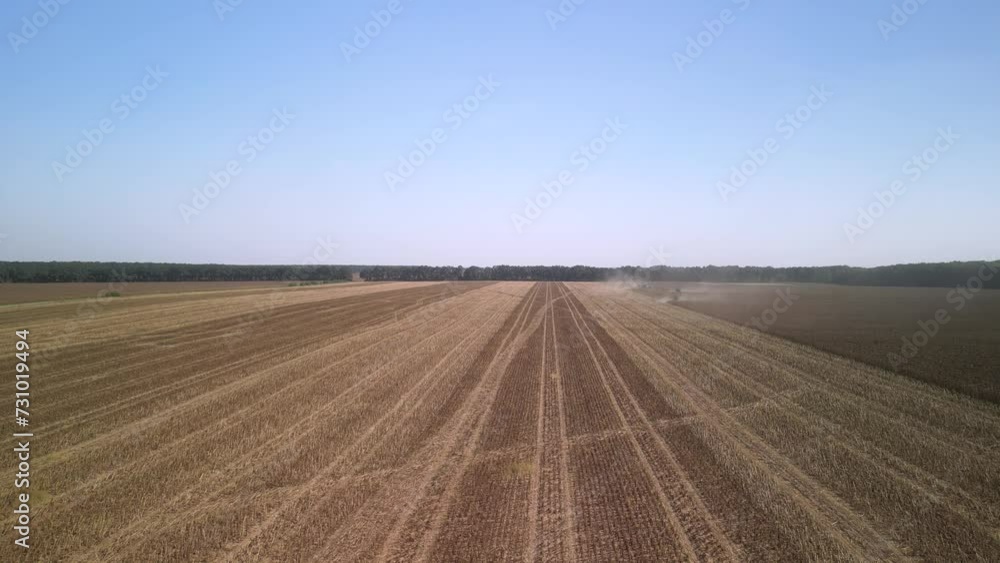 Combine harvesting sunflower on the field Combine harvesting sunflower on the field